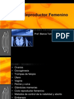 Sistema Reproductor Femenino