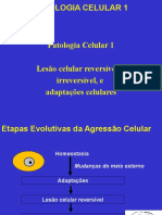 01 Aula Patologia Celular e Degeneracoes