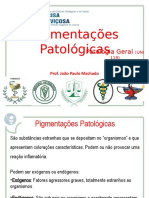 Pigmentações Patológicas