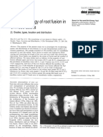 The Morphoogy of Root Fusion PDF