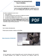 Neuroanatomia PDF