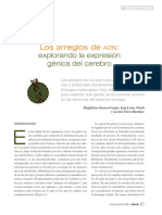 Arreglos Adn PDF