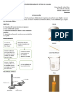 EL MECHERO DE BUNSEN Y EL ESTUDIO DE LA LLAMA.docx