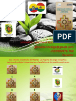 Presentacion Final Ecuador - Bolivia PDF