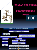 Nuevo Procedimiento Penal - Margarita Peralta