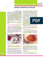 Enfermedad Hepatica PDF