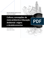 Aula 1 Cultura, Concepções de Meio Ambiente e Educação Ambiental PDF