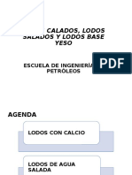 2019 - 07 - 13 - Lodos Calados, Salados y Base Yeso