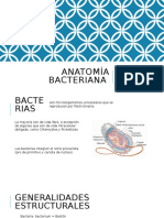 Anatomía bacteriana.pptx