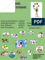 Mapa Mental-EF Consolidados y Separados.pdf