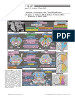 Brainstem syndroms.pdf