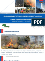 Conaf PrevencinIncendios