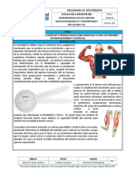 1. GUIA PRACTICA MIEMBRO SUPERIOR (HOMBRO Y ESCAPULA).pdf