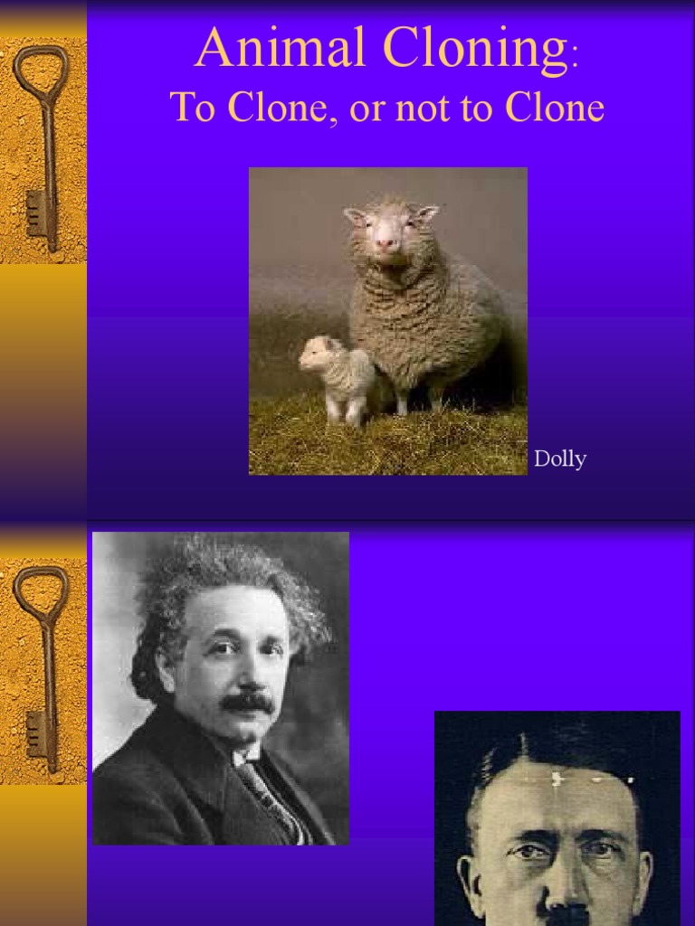 To Clone, or Not To Clone: Dolly | PDF | Cloning | Molecular Biology