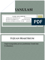 GRANULASI.pptx