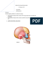 Praktikum Bod Osteologi Topik 2 - Christopher Pranoto