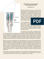 Proteger Los Isquiotibiales