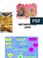 2 - Metabolisme Lipid Ringkas