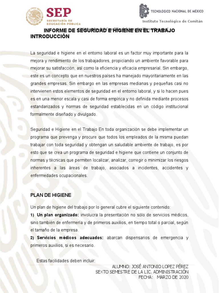 Informe de Seguridad e Higiene Laboral | PDF | Seguro | Seguridad y ...