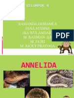 ANNELIDA