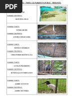 Fauna de La Selva Peruana PDF
