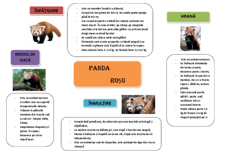 Panda Rosu | PDF