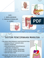 SISTEM PENCERNAAN PADA MANUSIA.pptx