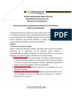 Lineamientos Practica Profesional 201965 PDF