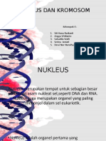 Biosel Nukleus Dan Kromosom