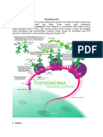 Translasi Protein