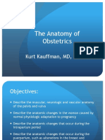 2015.05.20 AnatomyofObstetrics PDF