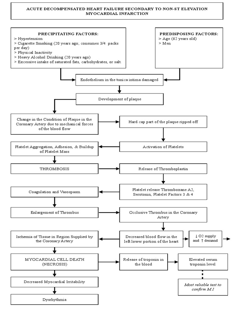 Final Myocardial Infarction Pathophysiology Pdf Myocardial Infarction Cardiac Muscle