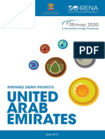 UAE Vision PDF