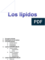 Lipidos 110404125032 Phpapp01 PDF