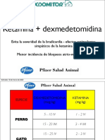 Combinaciones Dex PDF