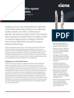 High Capacity Wire Speed Encryption Modules DS PDF