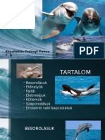 Polanyi Panna Delfin