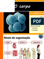 1 Ocorpo 121109202110 Phpapp01 PDF