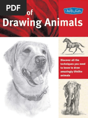 El Arte De Dibujar Animales Pdf Pdf