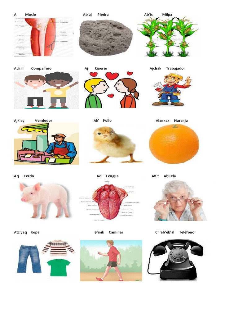 15 Palabras en Quiche Con Imagenes PDF