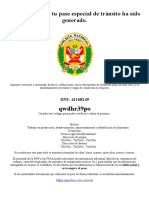 Efra Gobierno Del Perú