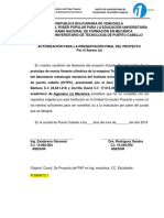 Formatos Proyecto Ing Mecanica Iutpc PDF