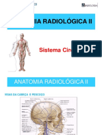Sistema Circulatorio3