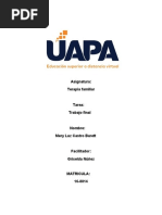 Trabajo Final de Terapia Familiar