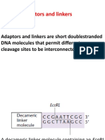 Adaptors and linkers connect DNA fragments