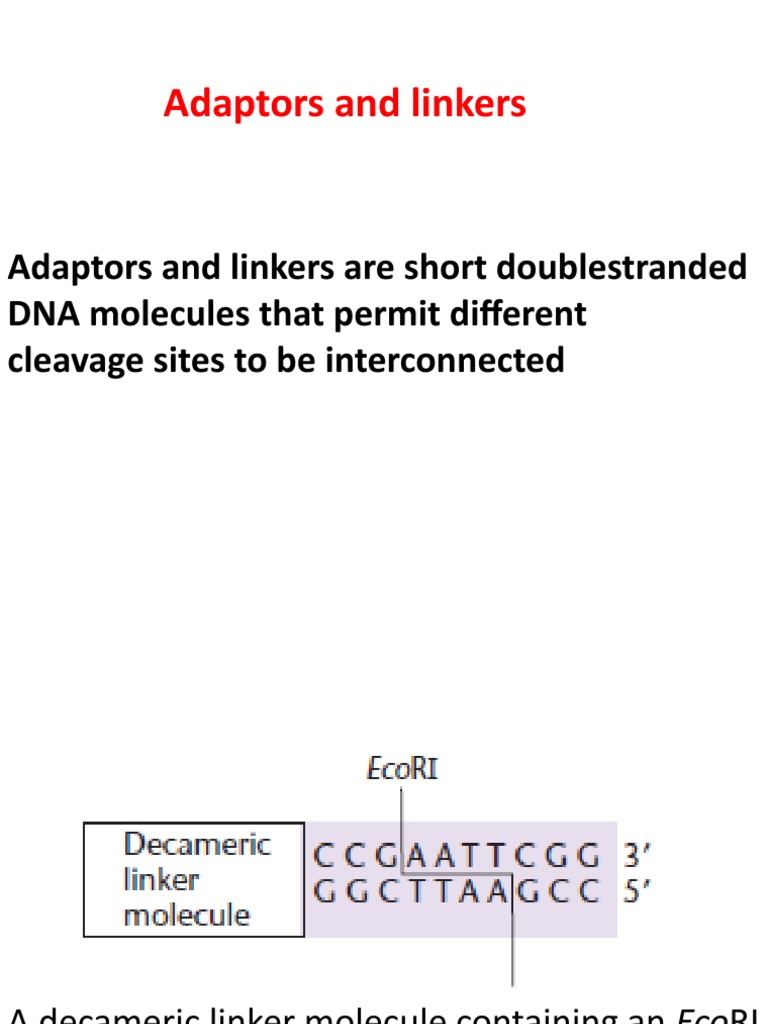 Adapters N Linkers
