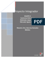 Proyecto Integrador