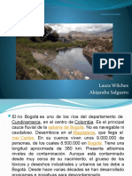 Contaminacion Del Rio Bogota