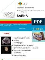 ZooP M4 1 Sarna PDF