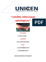 Celulitis Infecciosas HHHHHHHHHHHHHHHHHH